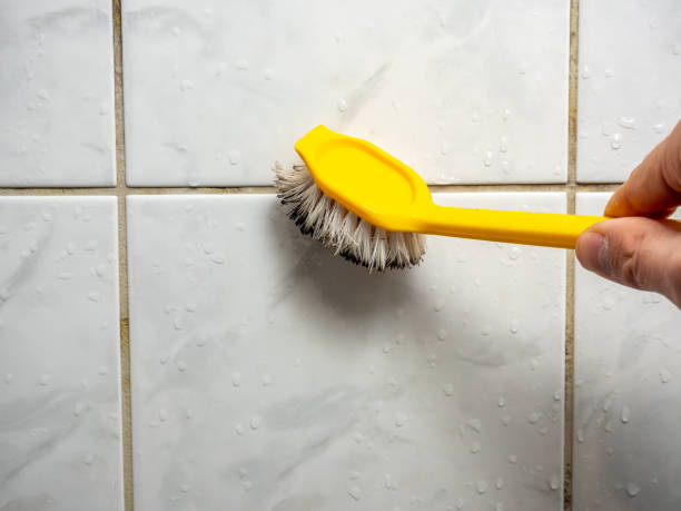Best Best Mold Removal Companies  in London, CA