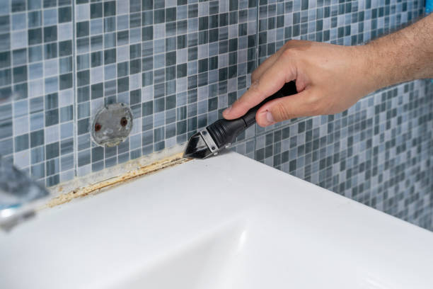 Best Residential Mold Removal  in London, CA