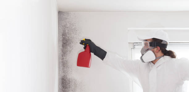 Water Damage Restoration in London, CA